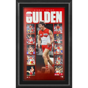 Errol Gulden Framed Vertiramic Sydney Swans