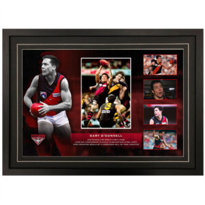 AFL - Essendon Bombers "Gary O'Donnell" Signed & Framed 8x10 Photo Display