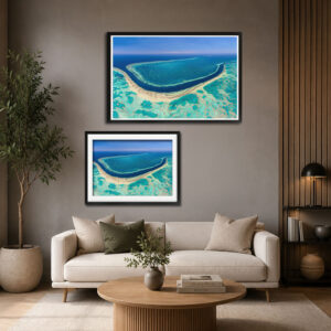 Wall Art - Great Barrier Reef