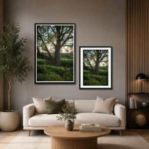 Wall Art - Oak