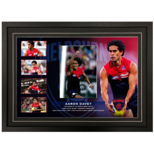 AFL - Melbourne Demons "Aaron Davey" Signed & Framed 8x12 Photo Display