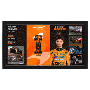 Formula 1 - Lando Norris 1:43 Scale McLaren F1 Model Car Display