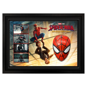 Spiderman - Tom Holland Signed & Framed Mask