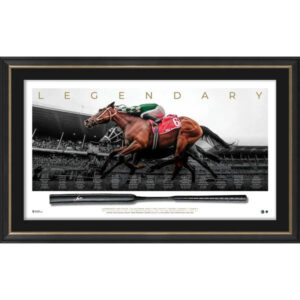 Via Sistina 2025 Cox Plate Champion Signed James McDonald Whip Framed