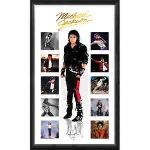 Music - Michael Jackson Vertiramic Print
